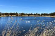 Photo: Hammonasset Beach State Park