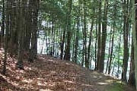 Photo of Kettletown State Park