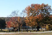 Photo: Quaddick Picnic Shelter