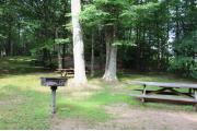 Photo: DINOSAUR STATE PARK PICNIC SHELTER