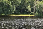 Photo: Hurd State Park River Camping