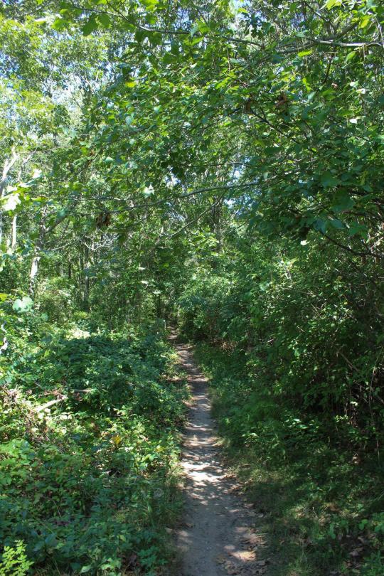 Photo: Bluff Point Day Use Entrance