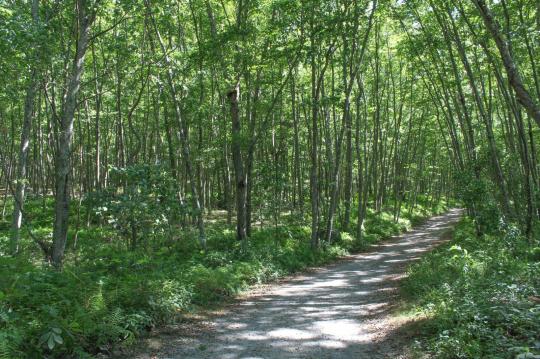 Photo: Bluff Point Day Use Entrance