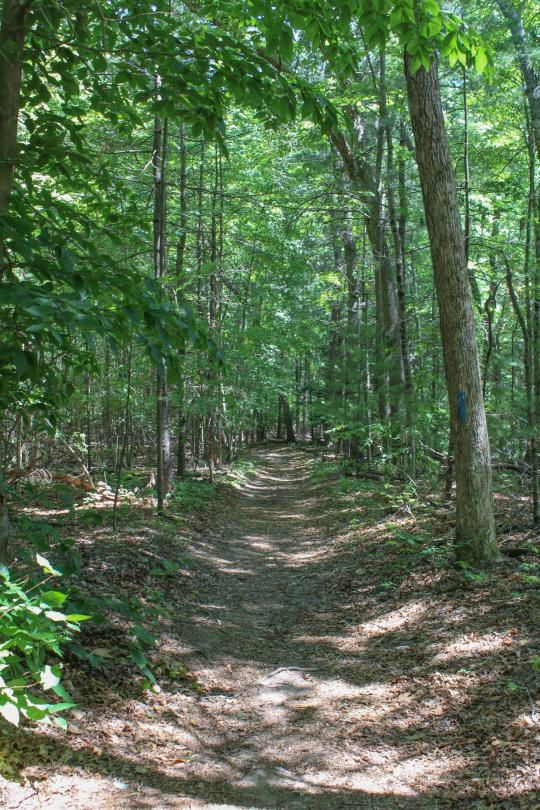 Photo: Stratton Brook Day Use Entrance