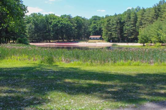 Photo: Stratton Brook Day Use Entrance