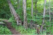 Squantz Pond State Park