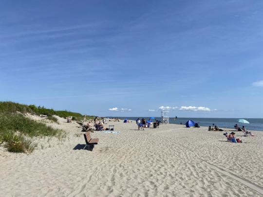 A view of the sandy shores at Hammonasset Beach State Park