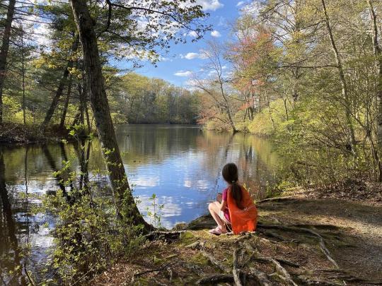 Hopeville Pond State Park