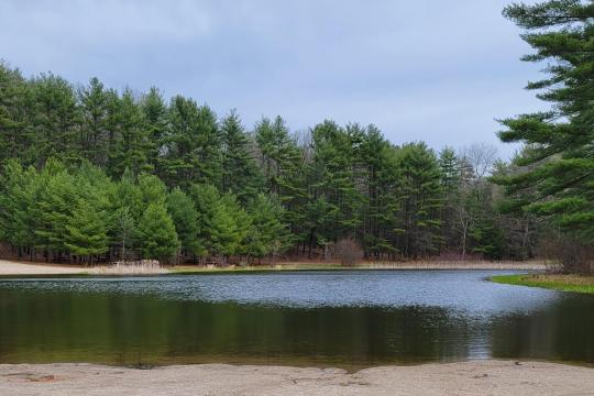 Photo: Stratton Brook Wheelchair Permits Photo: Stratton Brook Wheelchair Permits