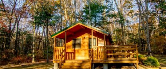 A small wooden camping cabin with a covered porch, nestled in a forest with autumn foliage.