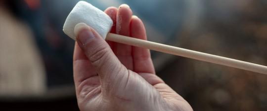 A close-up of a hand holding a marshmallow on a roasting stick over a campfire.