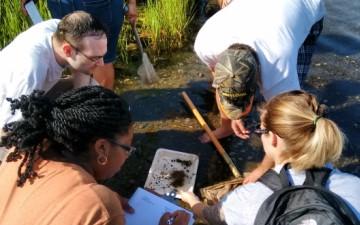 A group of people examining aquatic plants and wildlife samples together at the edge of a marsh.